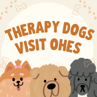 Therapy Dogs